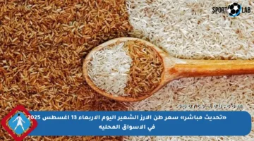«تحديث مباشر» سعر طن الأرز الشعير اليوم الأربعاء 13 أغسطس 2025 في الأسواق المحلية